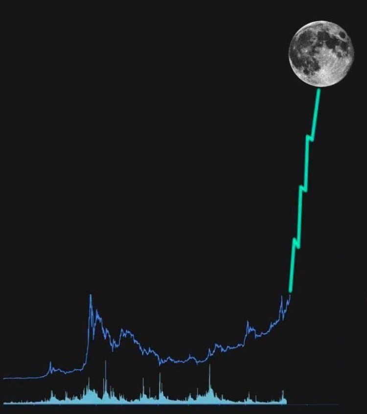 2024年頂級(jí)山寨幣探索:Cardano、Polkadot、Chainlink