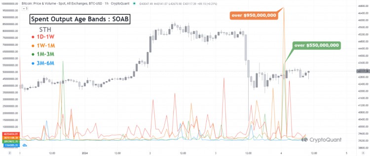 BTC 波動性 ETF 影響：儘管市場波動，持有者仍未動搖