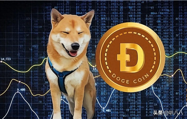 投資狗狗幣（DOGE）還是瑞波幣（XRP）更合理？