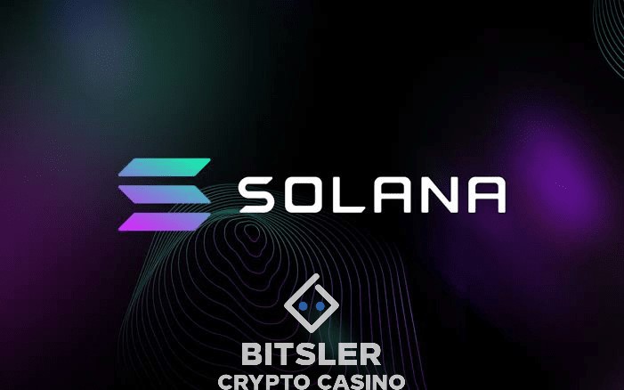 SOL潛力在現貨BTCETF熱潮中能否觸及150美元