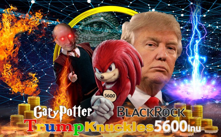 加裏波特BLACKROCKTRUMPKNUCKLES5600INU以太坊