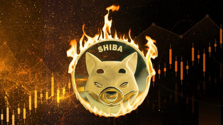 SHIBAINUSHIB燃燒量激增1638SHIBAINU團(tuán)隊持續(xù)努力燃燒SHIB代幣加密貨幣行情盡在DEFIDRAFT