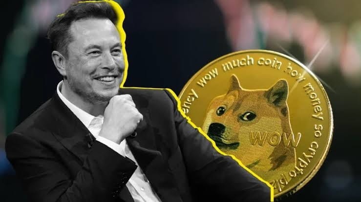 ELONMUSKSDOGECOINOWNERSHIPSHOCKINGDETAILREVEALED