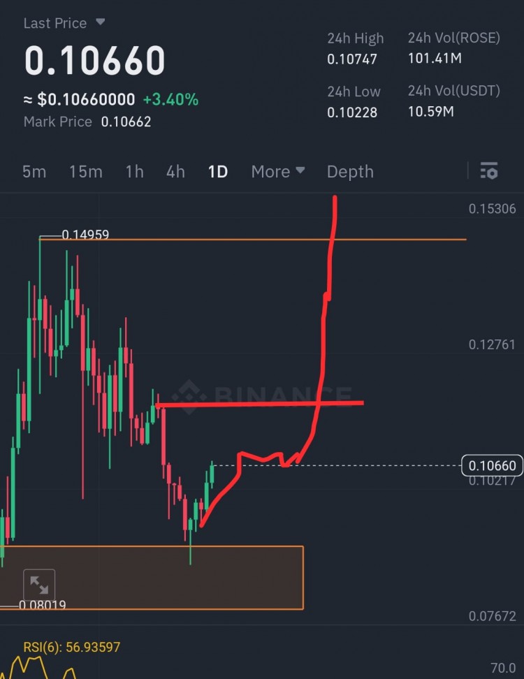 長期投資OASISNETWORKROSE幣種穩(wěn)賺不賠