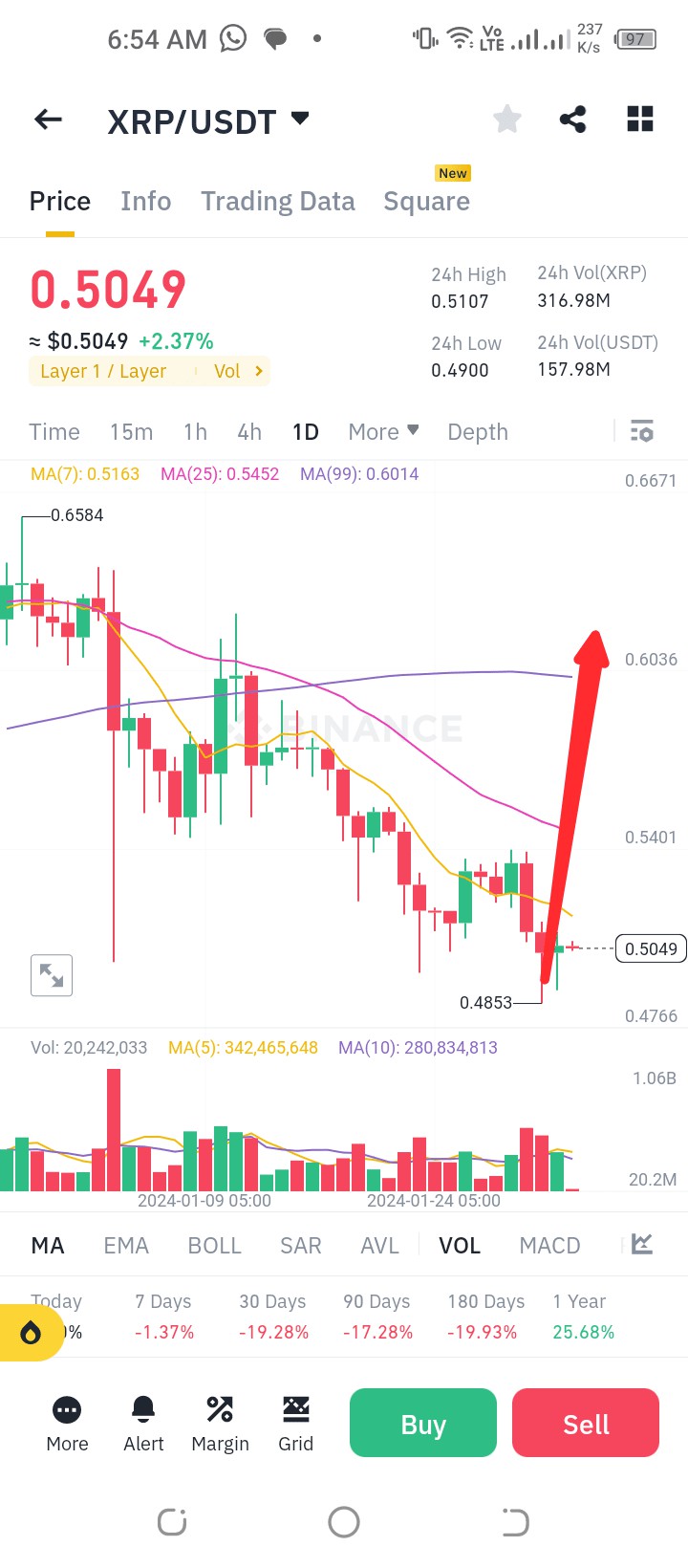 XRP2024年市場展望