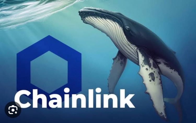 CHAINLINK持有者樂(lè)觀鯨魚(yú)激增LINK代幣