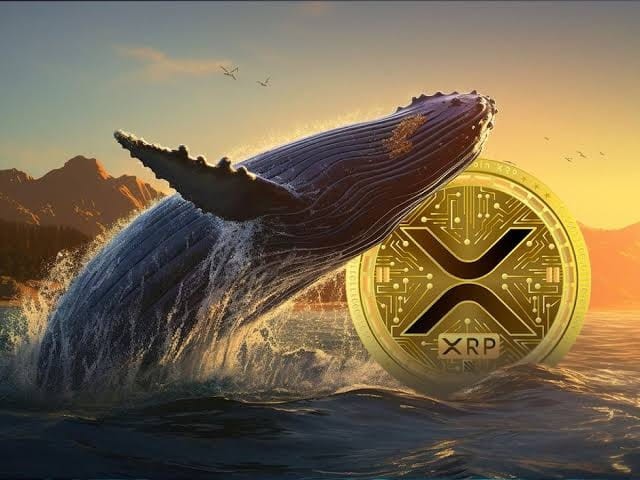 XRP價(jià)格接近053美元幣安鯨魚(yú)籌集25億枚代幣市場(chǎng)看漲