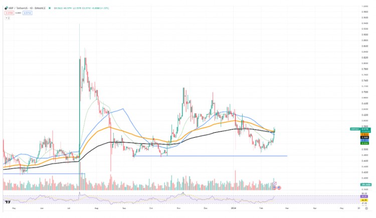 XRP價(jià)格挑戰(zhàn)2024年關(guān)鍵水平