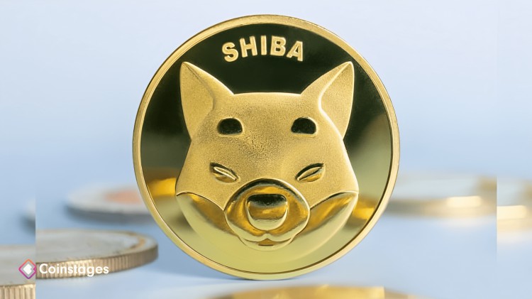 SHIBAINU的SHIBARIUM每日交易量達到3000000300萬筆