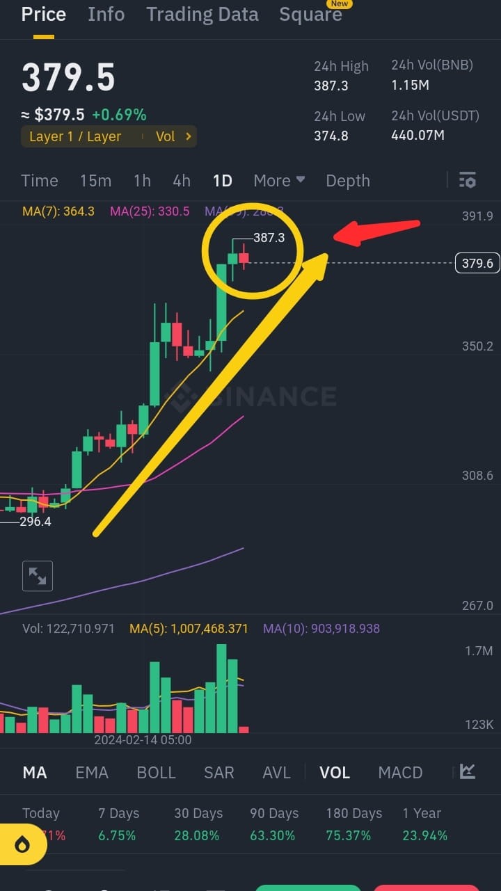 BNB 378-384$ 波動 持有等待 鯨魚進場消耗 10M LunchPool 400$看漲 3