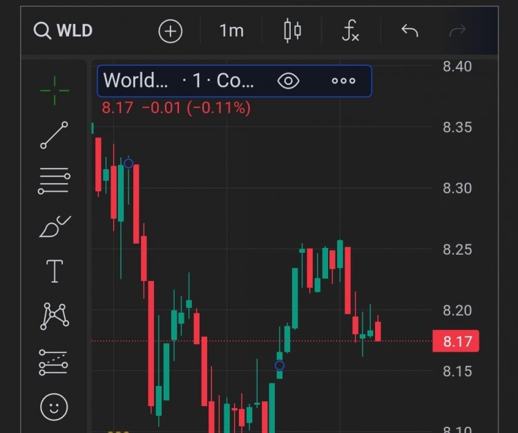 持有及交易WORLDCOIN至關(guān)重要