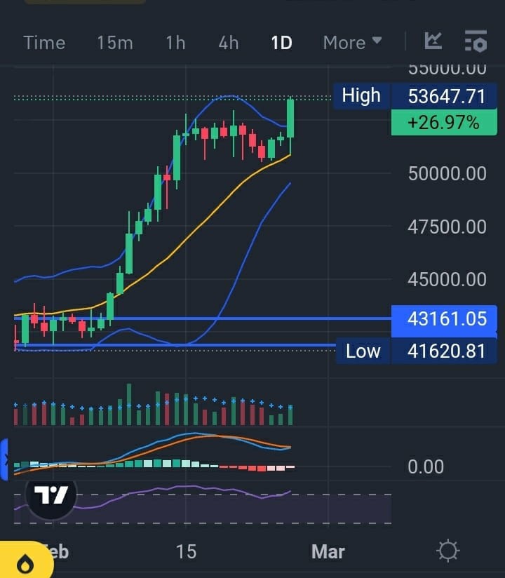 BTC多頭突破牛旗結構預期看漲力量增強665萬美元成可能比特幣個人所有權突出傳統銀行係統之外