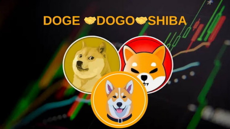 DOGOCOINARISINGSTARINTHEMEMECOINMARKET