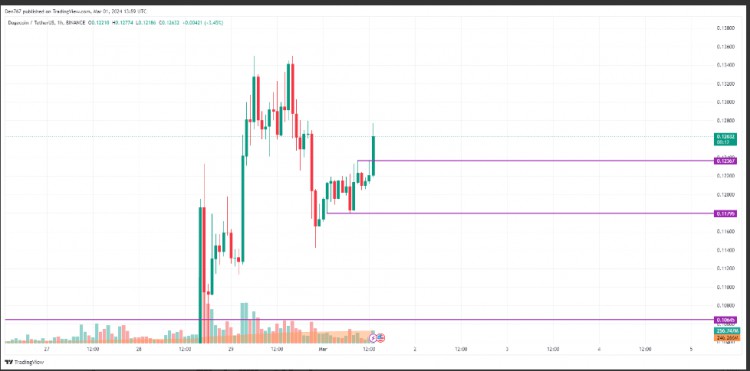 DOGE3月1日價格預(yù)測