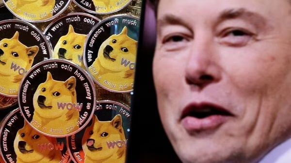 DOGECOINELONMUSKSINFLUENCEFADES