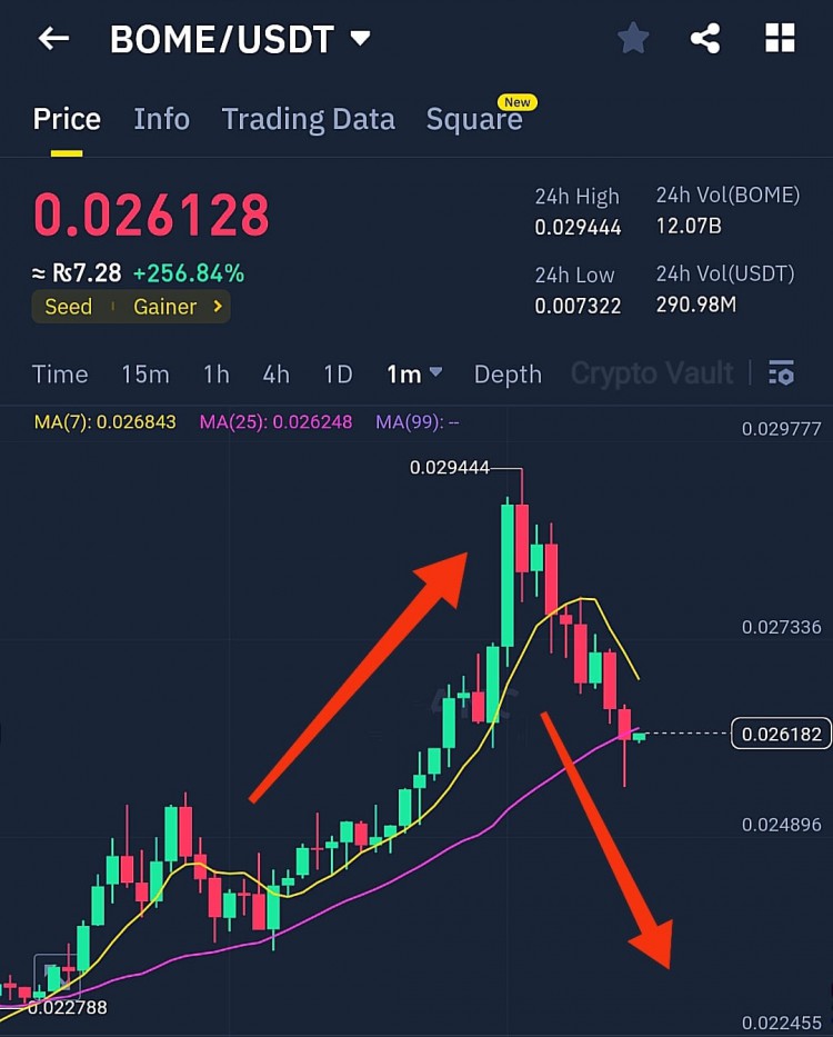 BOME硬幣BOME在幣安現貨上架請謹慎交易