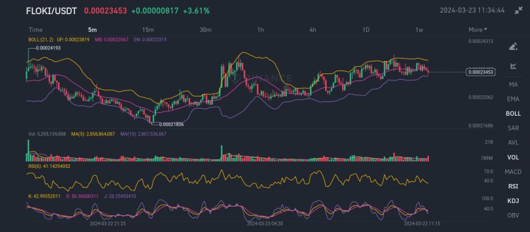 弗洛基USDT技術分析