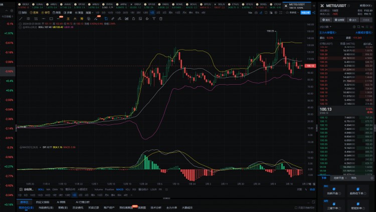 2024年真正的100倍幣隻有這6種