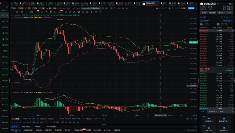 2024年真正的100倍幣隻有這6種