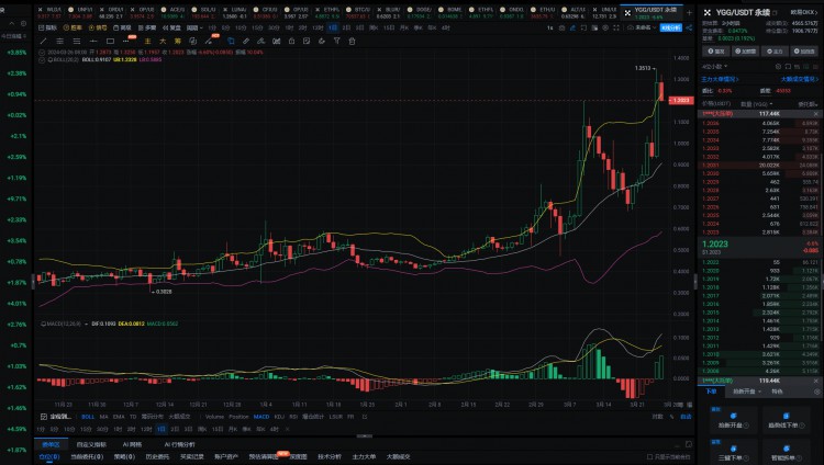 2024年真正的100倍幣隻有這6種