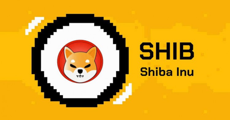 柴犬SHIB飛向新高