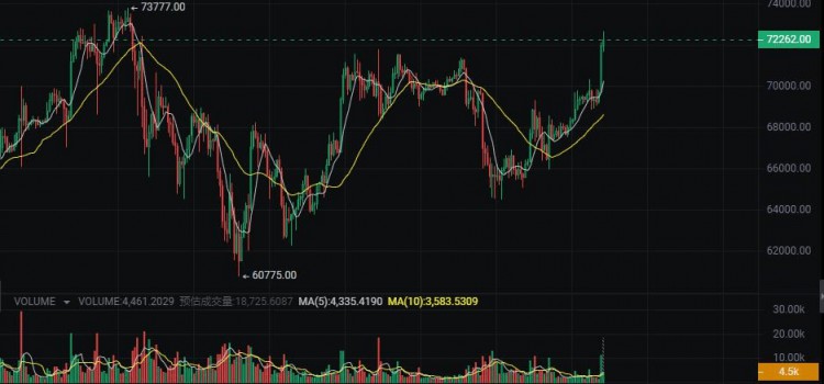 比特幣會漲到8萬嗎5種潛力百倍的加密貨幣你擁有嗎