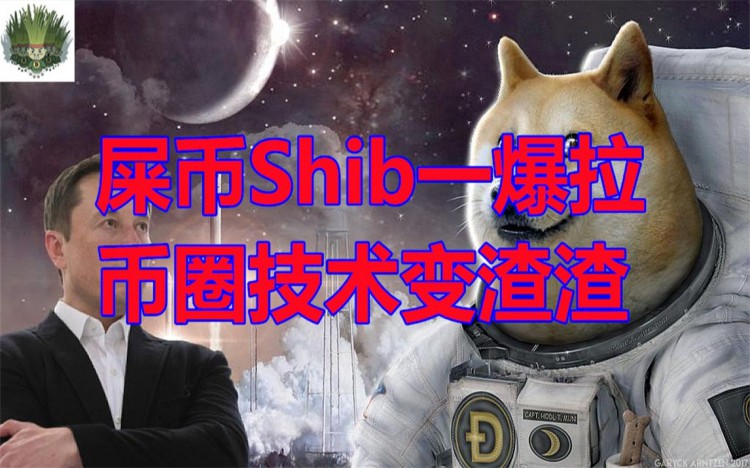 SHIBAINUCOINSHIBSOARSINTHECRYPTOCURRENCYWORLD