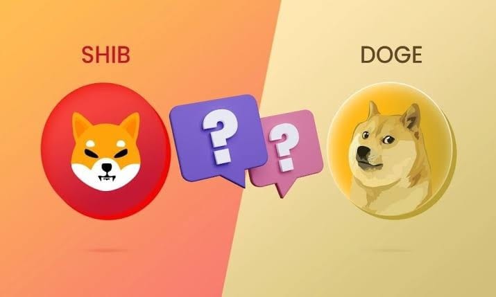 頂迷因硬幣：DOGE還是SHIBA？看市場情緒！